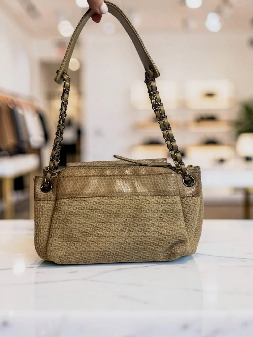 Chanel Python-Trimmed Accordion Flap Bag Taupe Exotic
